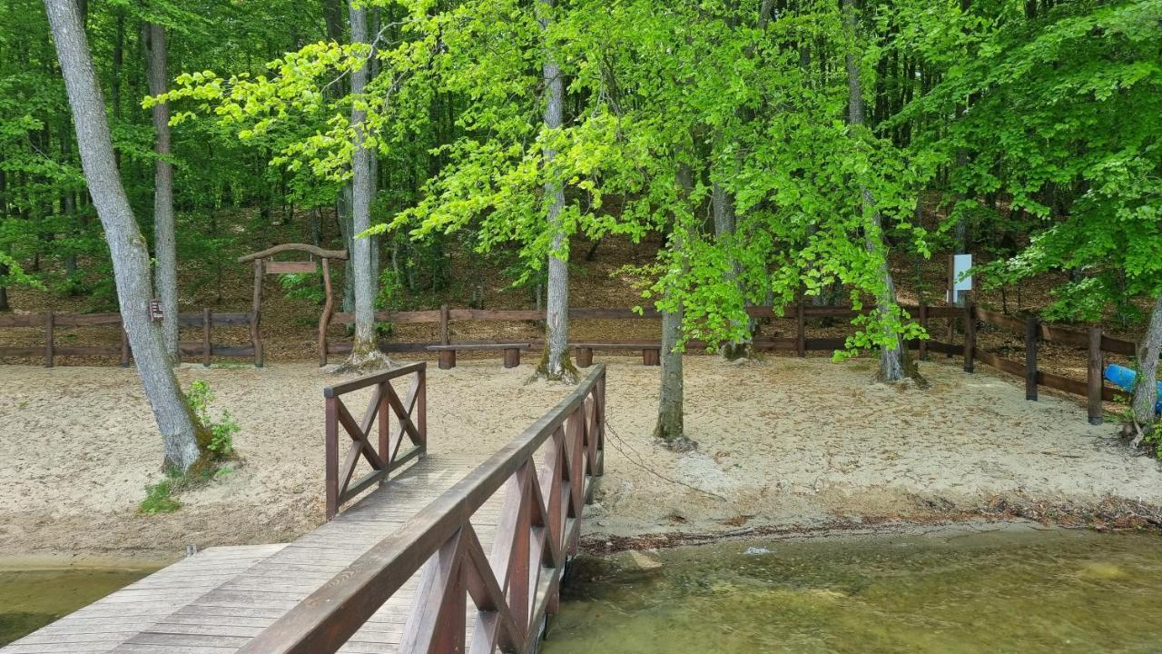 Ptasie Radio, Domek 48.2 Ostoja Bukowo Borowy Mlyn Dış mekan fotoğraf